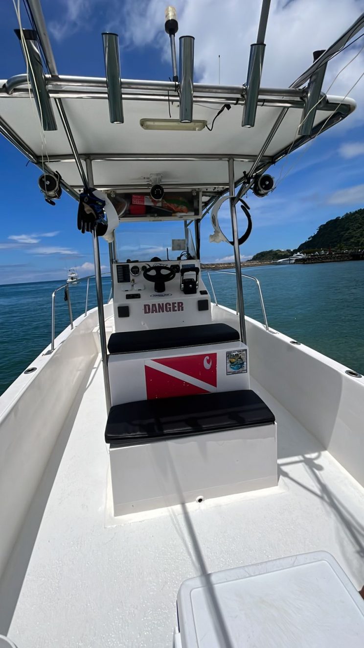 WhatsApp Image 2025-10-04 at 4.51.55 PM (1)